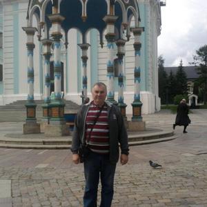 Геннадий, 64 года, Ржавки