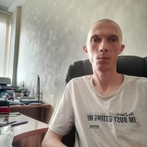Андрей, 35 лет, Красноярск