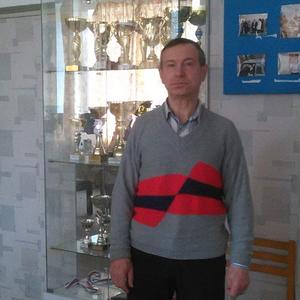 Владимир, 70 лет, Иваново
