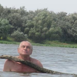 Юрий Васильевич, 70 лет, Астрахань