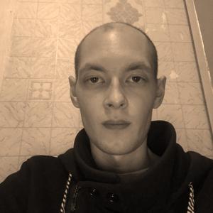 Дмитрий, 33 года, Ковдор