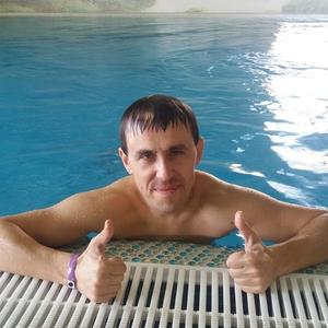 Андрей, 43 года, Кривой Рог