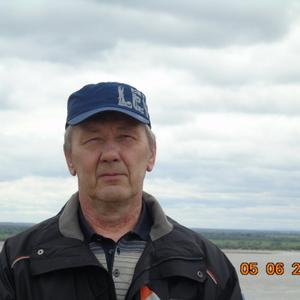 Парни в Хабаровске (Хабаровский край): Виктор Ефремов, 64 - ищет девушку из Хабаровска (Хабаровский край)