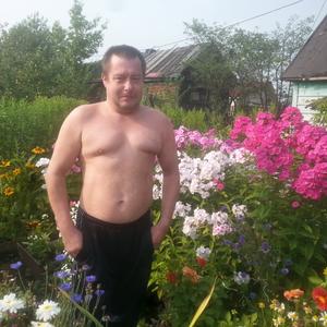 Игорь, 53 года, Великий Новгород