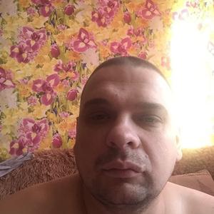 Дима, 42 года, Могилев