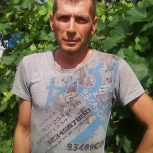 Сергей, 44 года, Воля