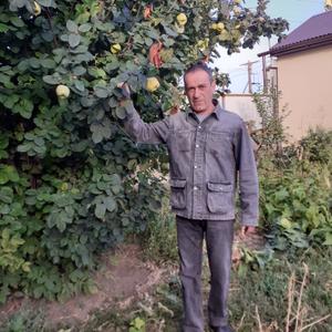 Дима, 55 лет, Волгоград