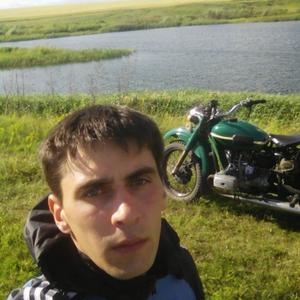Денис Вишняков, 34 года, Липецк