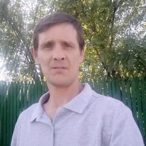 Толя, 43 года, Кишинев