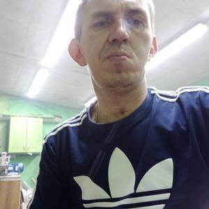Андрей, 37 лет, Галич