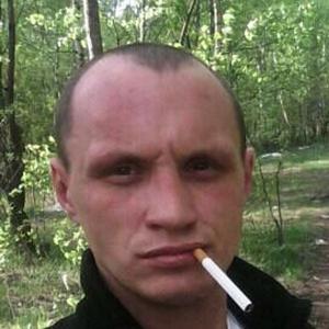 Nikolay, 42 года, Солнечногорск