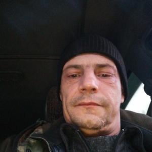Алексей, 46 лет, Лакинск