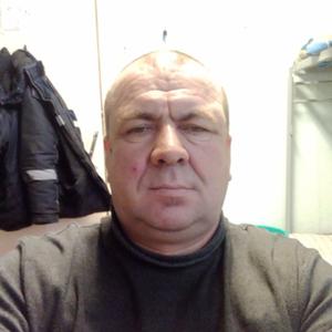 Андрей, 52 года, Челябинск