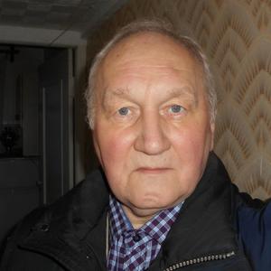 Валерий Кишанин, 69 лет, Санкт-Петербург