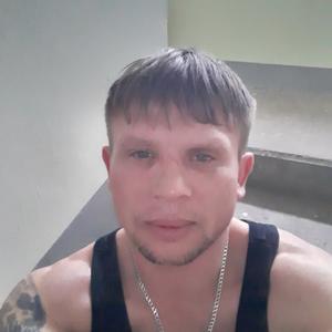 Александр Щербаков, 43 года, Видное