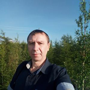Сергей, 41 год, Мирный