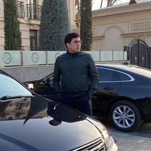 Тимур, 27 лет, Ташкент