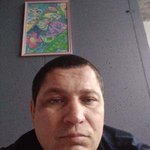 Денис Тынников, 40 лет, Саратов