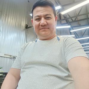 Shurik, 39 лет, Казань