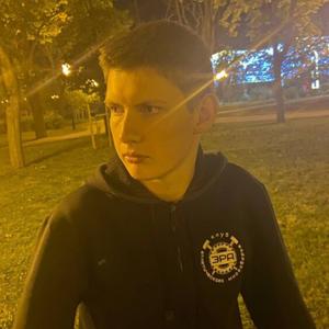 Алексей, 21 год, Белгород