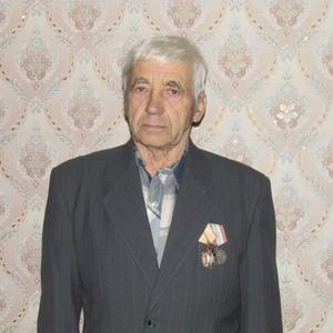 Леонид Галкин, 85 лет, Кострома