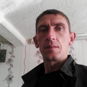 Александр, 41 год, Козловка