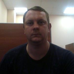 Дмитрий, 43 года, Никольское
