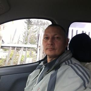 Андрей, 53 года, Бийск