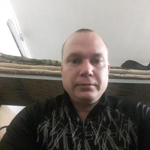 Андрей, 39 лет, Шебекино