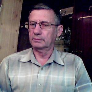 Александр, 72 года, Волгоград