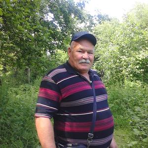 Сергей, 64 года, Чайковский