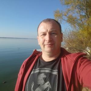 Евгений, 44 года, Воронеж