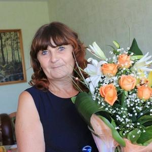 Анна Быковченко, 63 года, Барнаул
