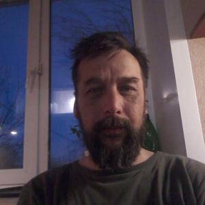 Петр, 44 года, Владимир