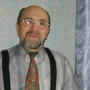 Михаил Маткин, 77 лет, Санкт-Петербург