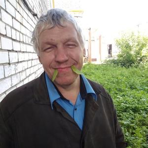 Петрович, 42 года, Ярославль