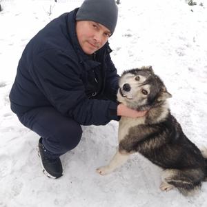 Сергей, 46 лет, Краснозаводск