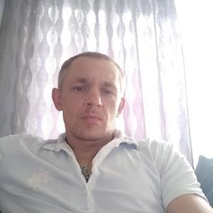 Александр, 47 лет, Бобруйск