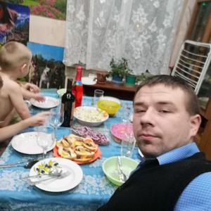 Николай, 27 лет, Котлас