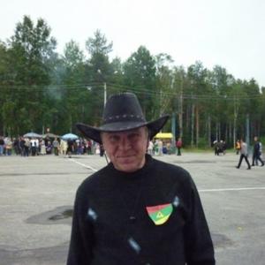 Иван Павшуков, 69 лет, Сегежа