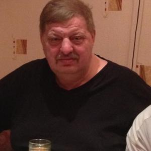 Сергей, 67 лет, Златоуст