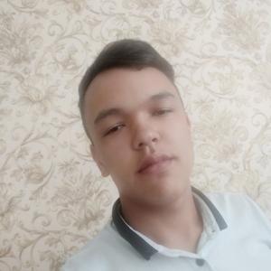 Shox, 22 года, Ташкент