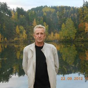 Владимир Родин, 62 года, Новосибирск
