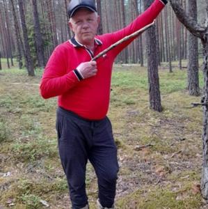 Степан, 64 года, Санкт-Петербург