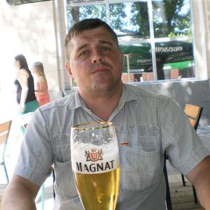 Дмитрий, 47 лет, Губаха