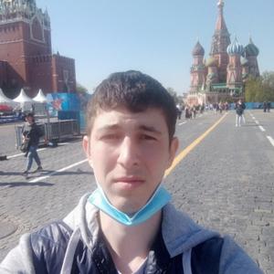 Николай, 28 лет, Воронеж