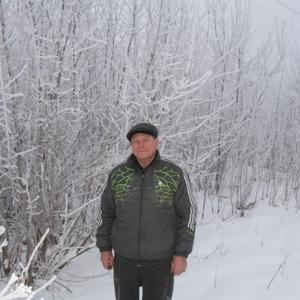 Парни в Тольятти: Николай, 75 - ищет девушку из Тольятти