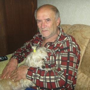 Сергей, 78 лет, Рыбинск