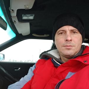 Сергей, 41 год, Витебск