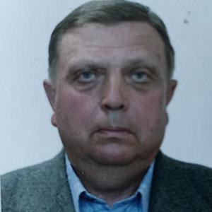 Парни в Челябинске: Анатолий, 76 - ищет девушку из Челябинска